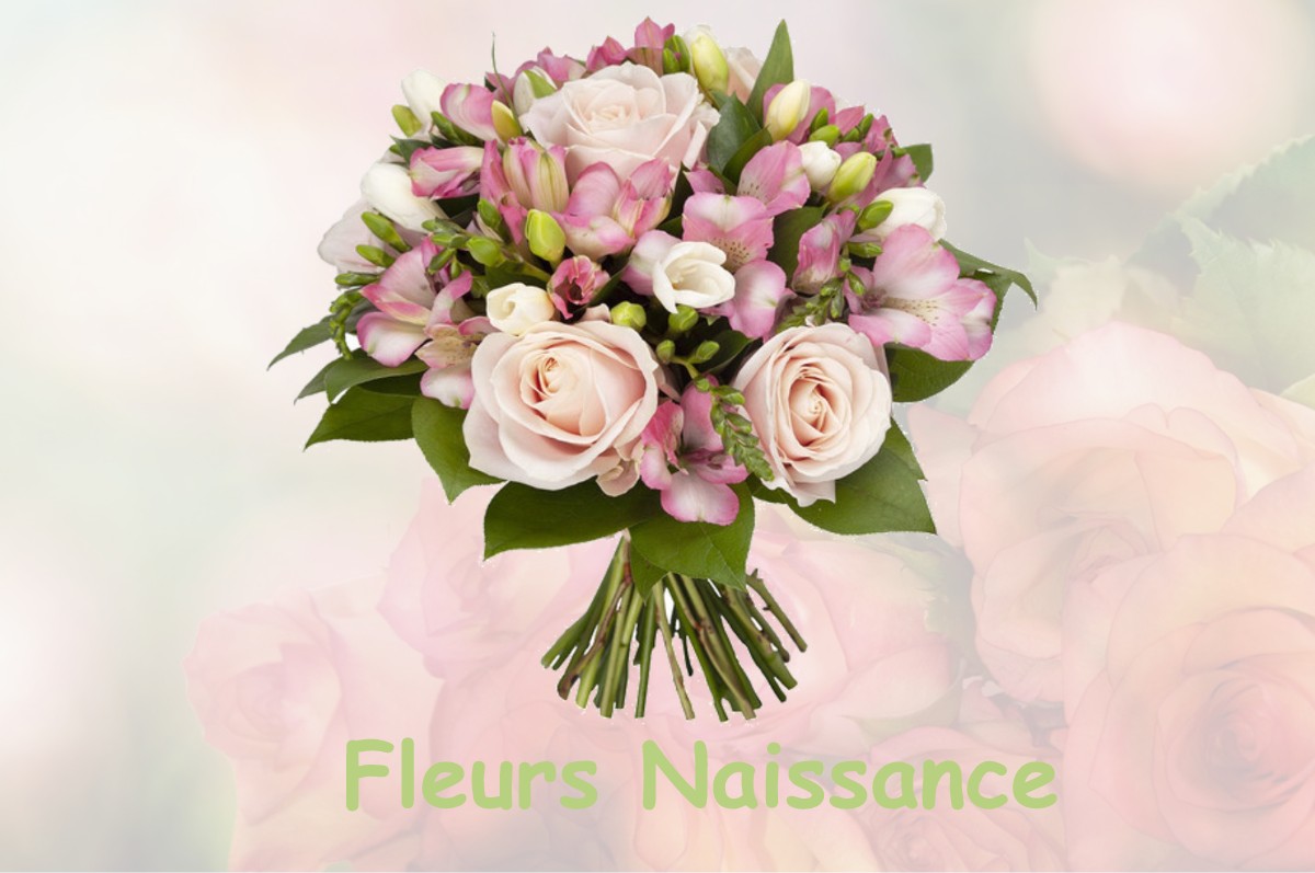 fleurs naissance BISSY-LA-MACONNAISE